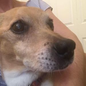 Meet your Posher, Tami